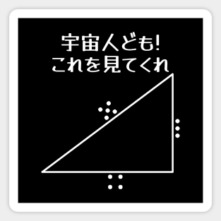 Japanese "Hey Aliens! Check This Out" Pythagoras Theorem Magnet